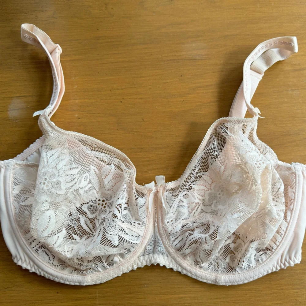 Prima Donna Divine Lace Seamless Bra - Picture 2 of 3